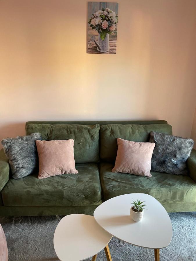 Apartment Cactus 021 ノヴィ・サド エクステリア 写真
