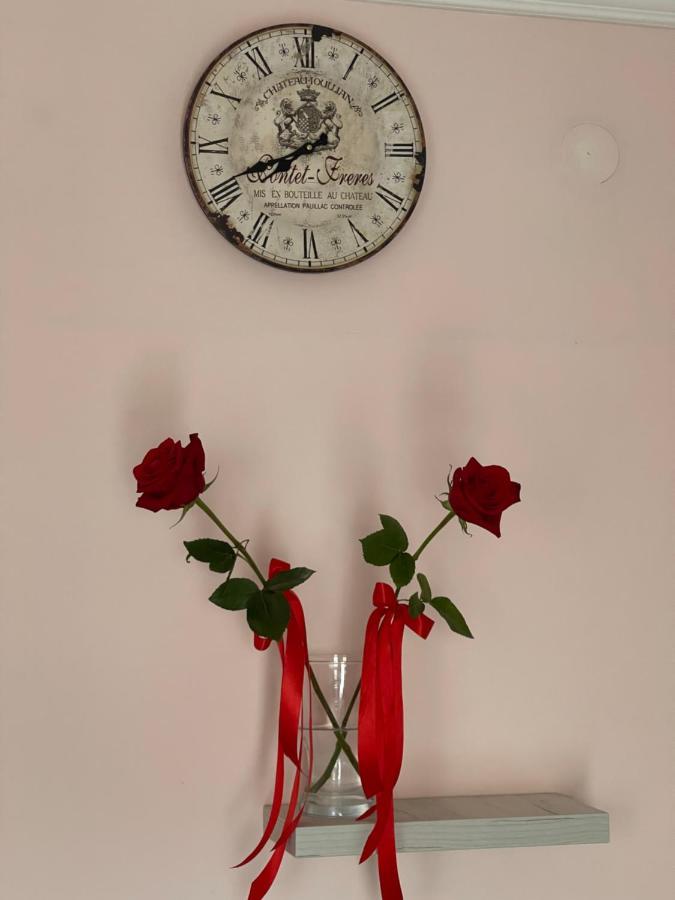 Apartment Cactus 021 ノヴィ・サド エクステリア 写真