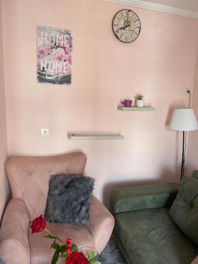 Apartment Cactus 021 ノヴィ・サド エクステリア 写真