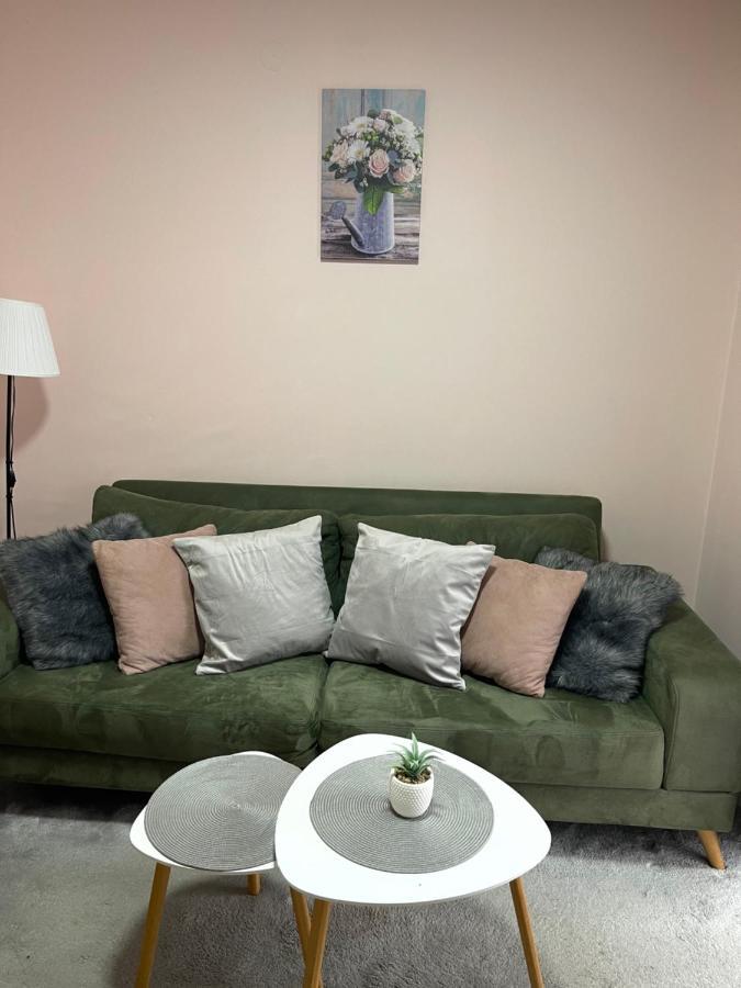 Apartment Cactus 021 ノヴィ・サド エクステリア 写真